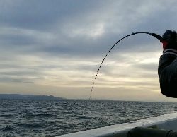 ドラゴンを求めて